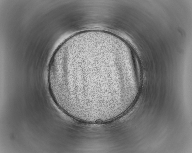 X0000112361424200909031901