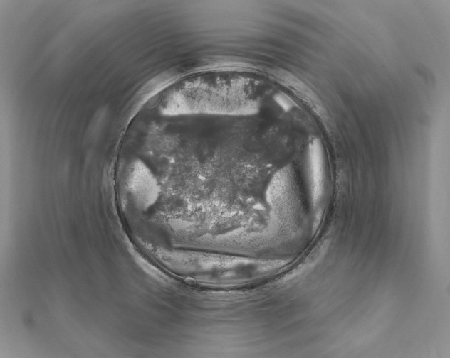 X0000112361425200909031901