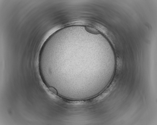 X0000112361426200909031901