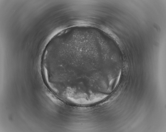 X0000112361427200909031901