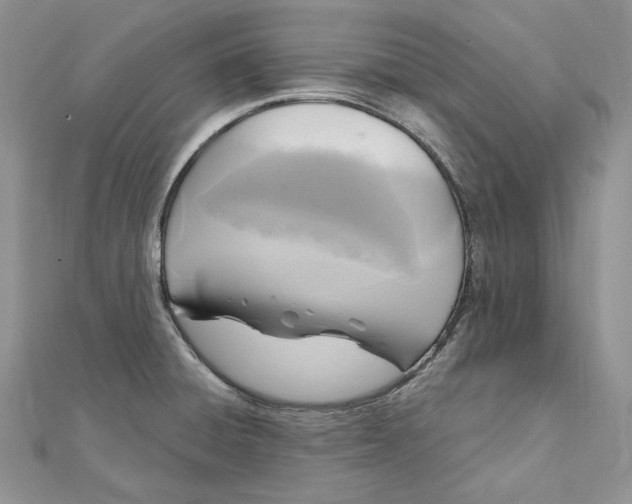 X0000112361428200909031901