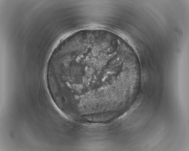 X0000112361429200909031901