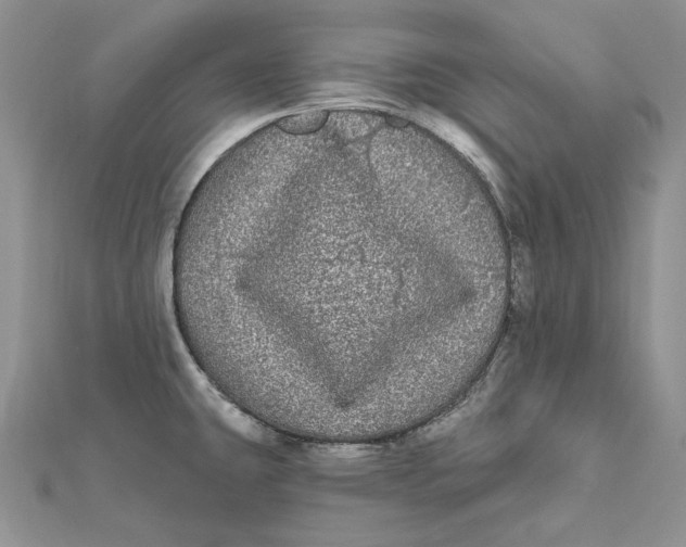 X0000112361431200909031901