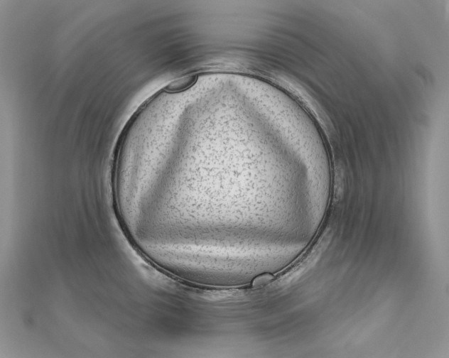 X0000112361434200909031901