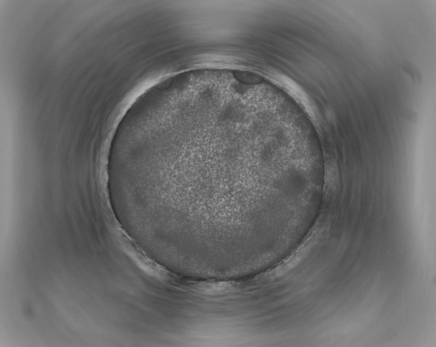 X0000112361435200909031901