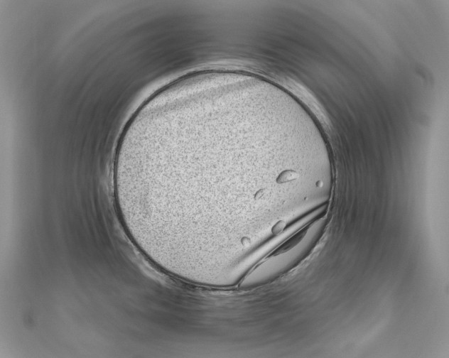 X0000112361436200909031901