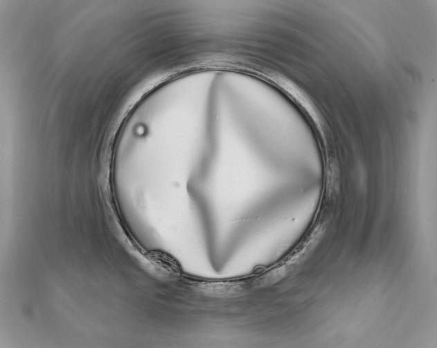 X0000112361437200909031901