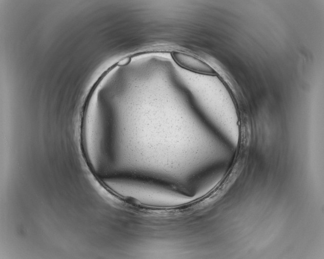 X0000112361438200909031901