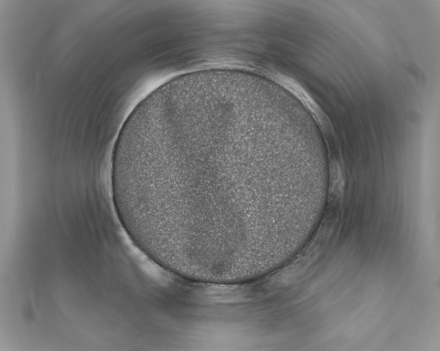 X0000112361439200909031901