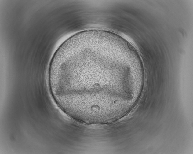 X0000112361440200909031901