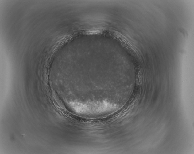 X0000112361441200909031900