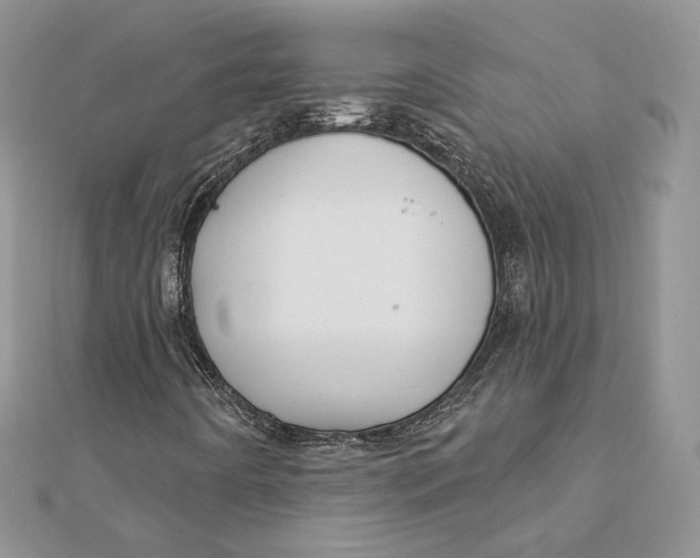 X0000112361442200909031900