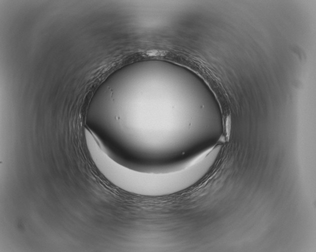 X0000112361443200909031900