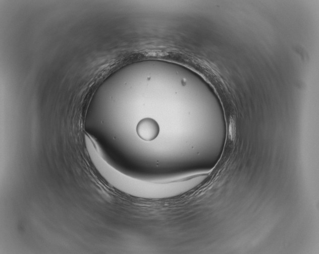 X0000112361444200909031900