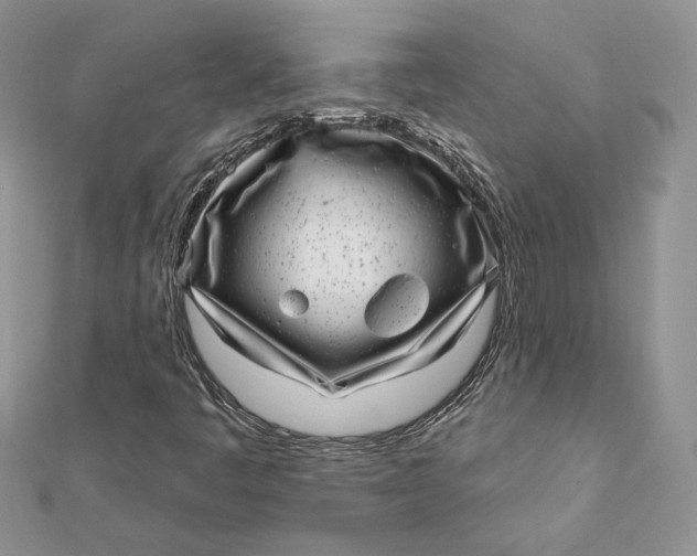 X0000112361445200909031900