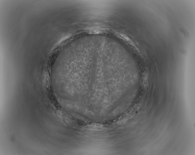 X0000112361446200909031900