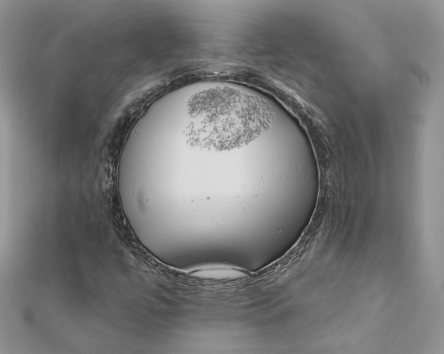 X0000112361447200909031900