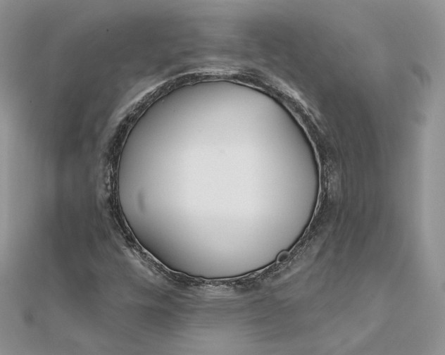 X0000112361448200909031900