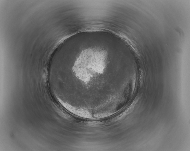 X0000112361449200909031900