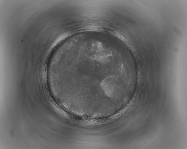 X0000112361450200909031900