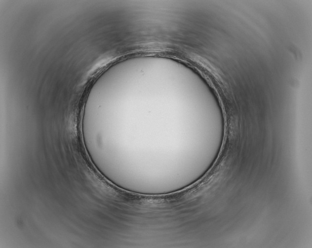 X0000112361451200909031900