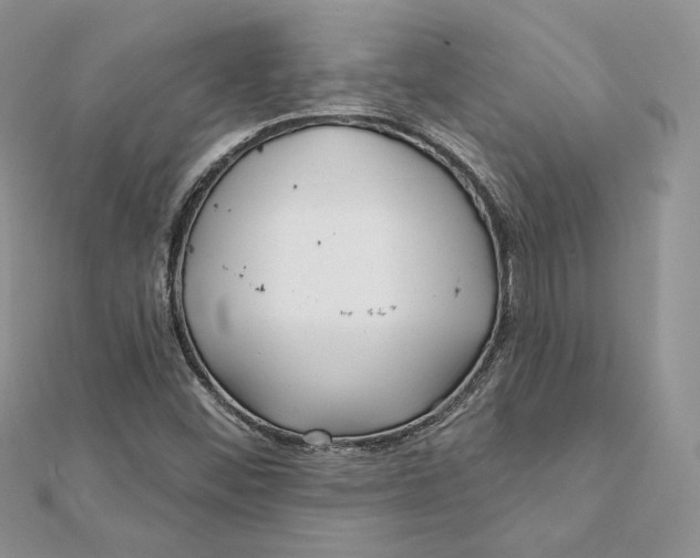 X0000112361452200909031900