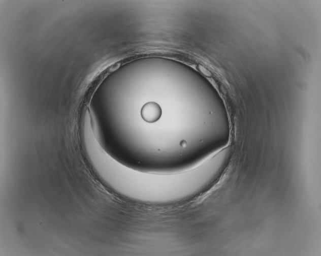 X0000112361453200909031900