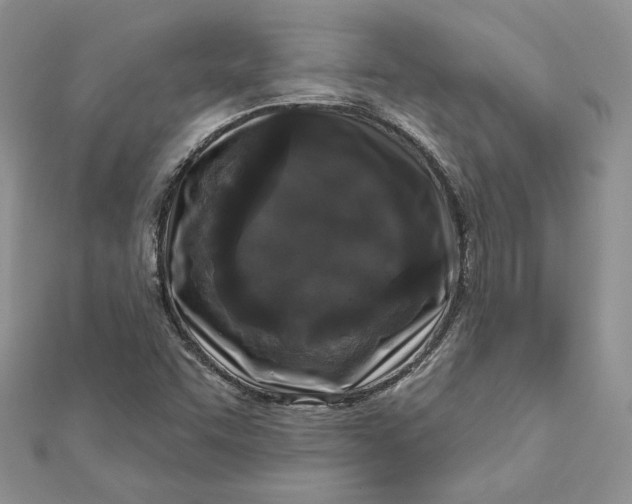 X0000112361455200909031900