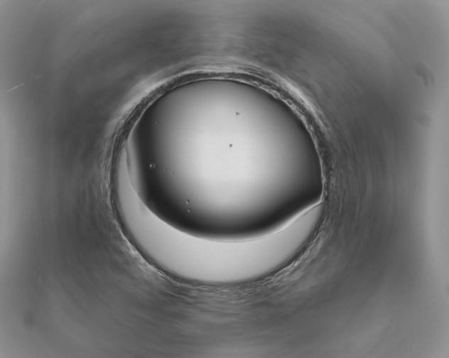 X0000112361456200909031900