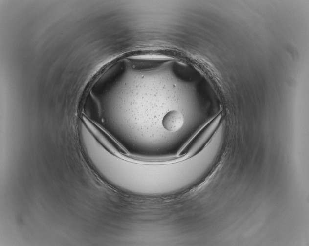 X0000112361457200909031900