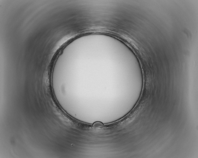 X0000112361458200909031900