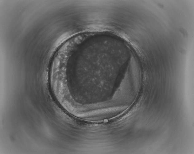 X0000112361459200909031900