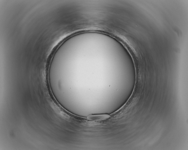 X0000112361460200909031900