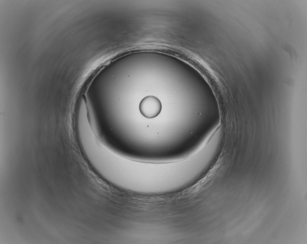 X0000112361461200909031900