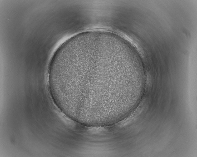 X0000112361462200909031900