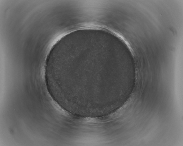 X0000112361463200909031900