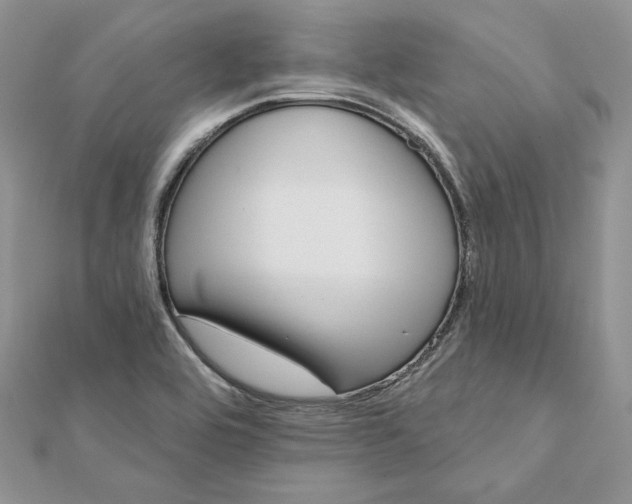 X0000112361464200909031900