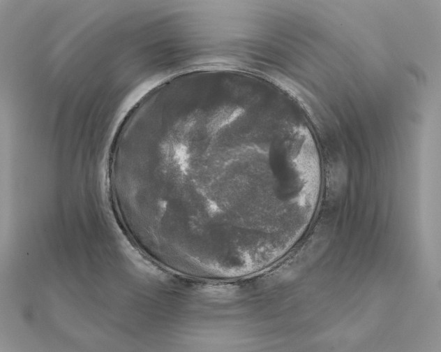 X0000112361466200909031900