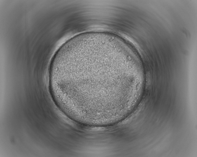 X0000112361467200909031900