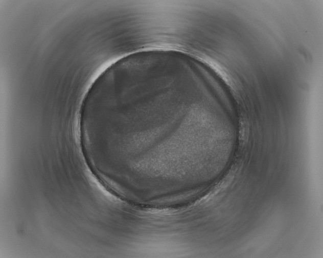 X0000112361468200909031900