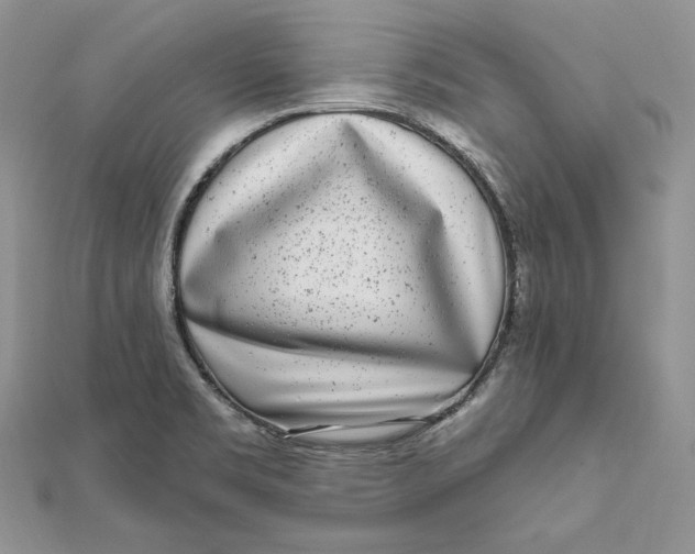 X0000112361469200909031900