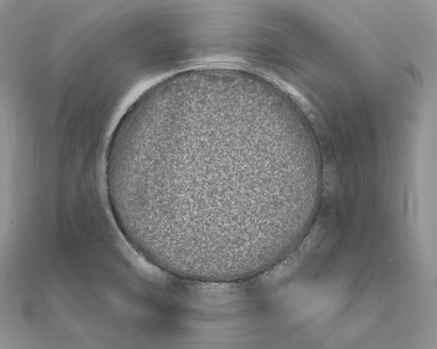 X0000112361470200909031900