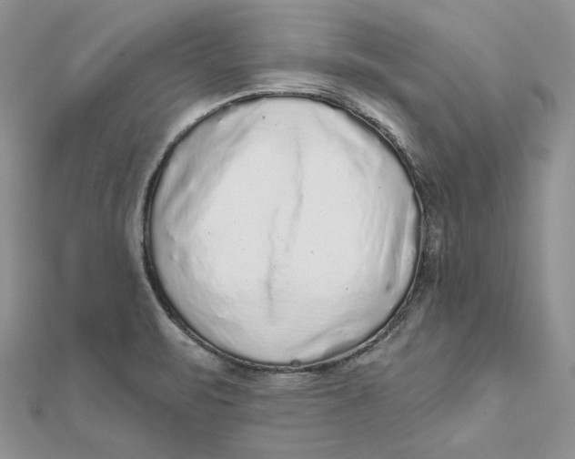 X0000112361471200909031900