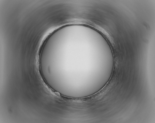 X0000112361472200909031900