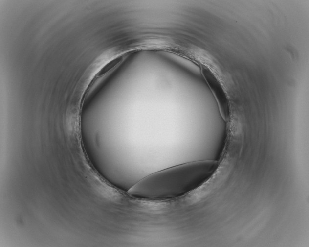 X0000112361473200909031900