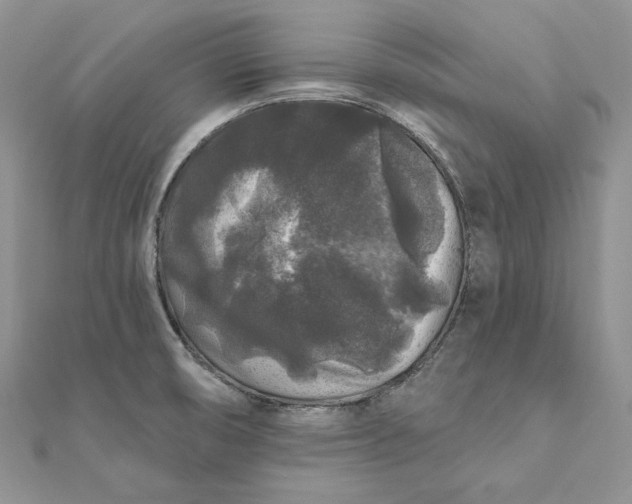 X0000112361474200909031900