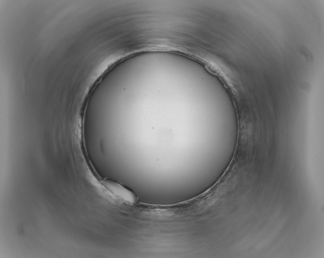 X0000112361476200909031900