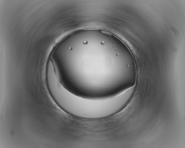 X0000112361477200909031900