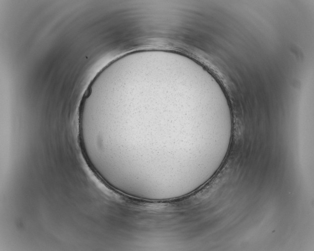 X0000112361479200909031900