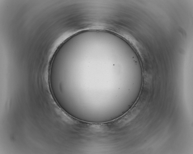 X0000112361480200909031900